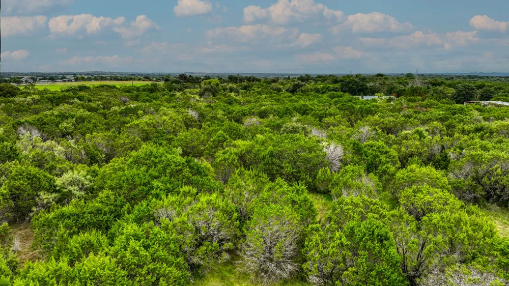 9133 Mcarthur Court Tolar, TX 76476