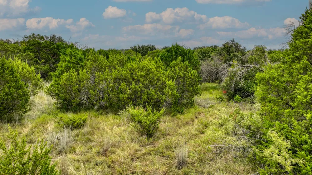9133 Mcarthur Court Tolar, TX 76476