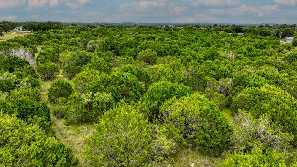 9133 Mcarthur Court Tolar, TX 76476