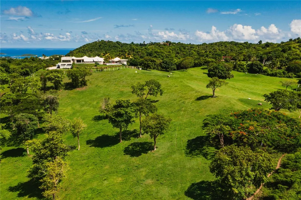 A/B CASA LIMONES Vieques, PR 00765