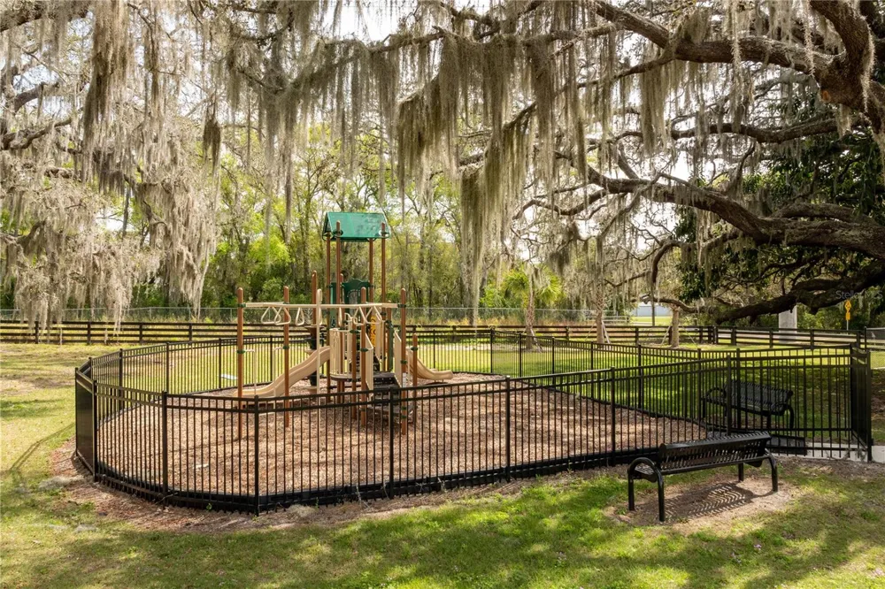 10176 BROCKSPORT CIRCLE Gotha, FL 34734