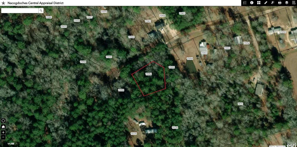 Blue Ridge Drive Etoile, TX 75944