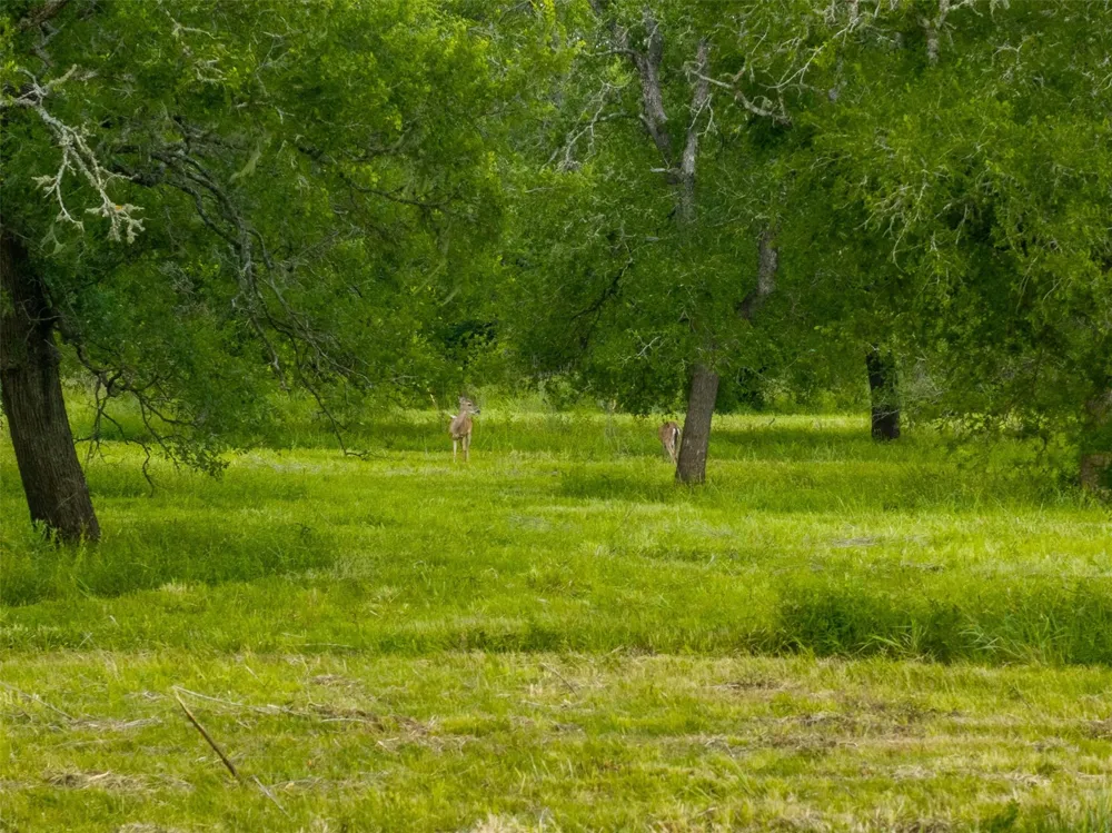 4503 Sulphur Springs Road College Station, TX 77845