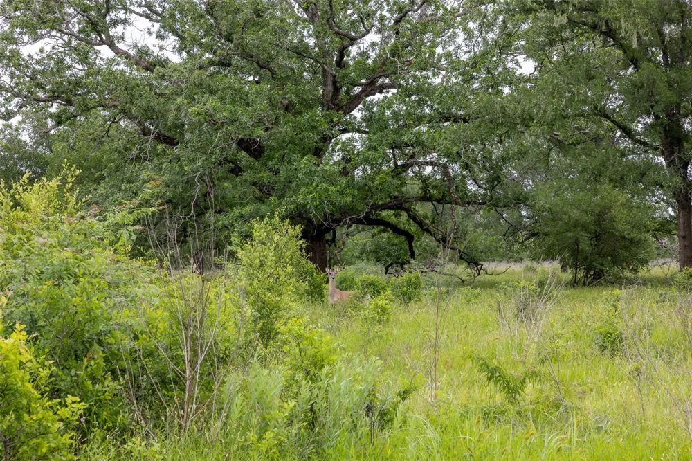 4503 Sulphur Springs Road College Station, TX 77845