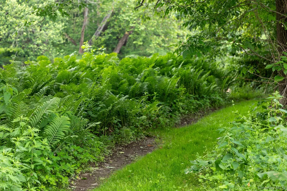 202 Buckwheat Bridge Germantown, NY 12526