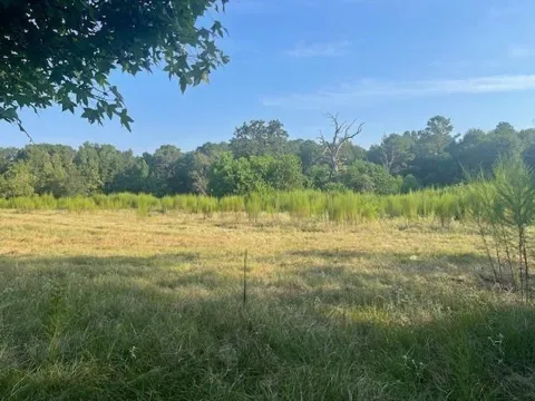 940 Bill Jones Road
