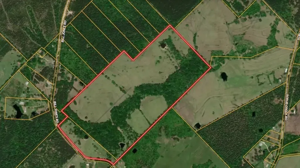 940 Bill Jones Road Groveton, TX 75845