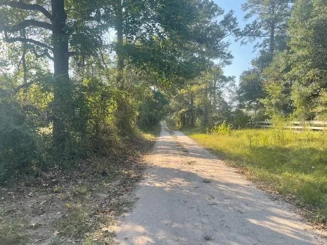 940 Bill Jones Road Groveton, TX 75845