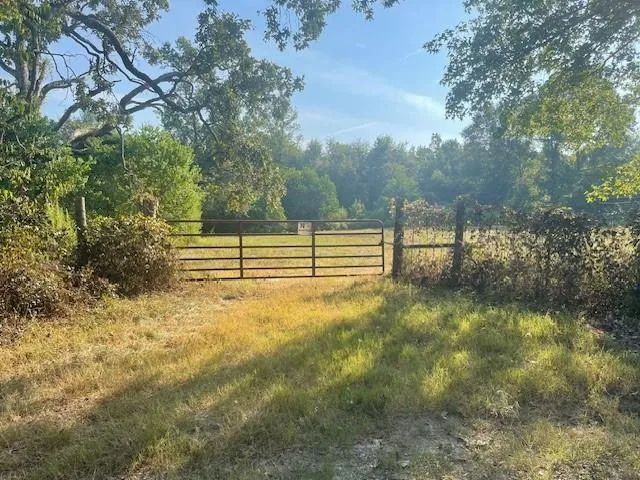 940 Bill Jones Road Groveton, TX 75845