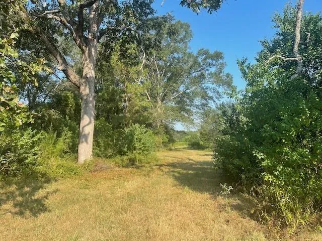 940 Bill Jones Road Groveton, TX 75845