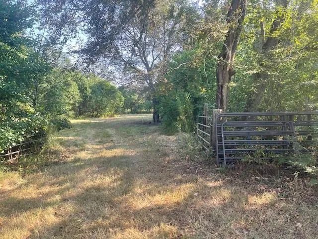 940 Bill Jones Road Groveton, TX 75845