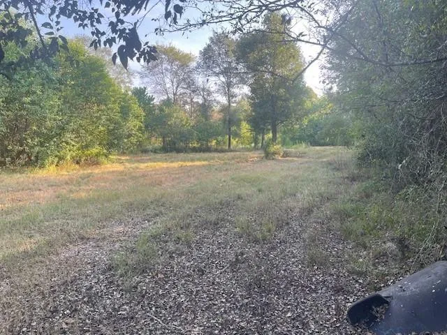 940 Bill Jones Road Groveton, TX 75845