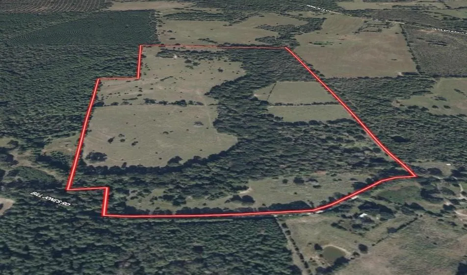 940 Bill Jones Road Groveton, TX 75845