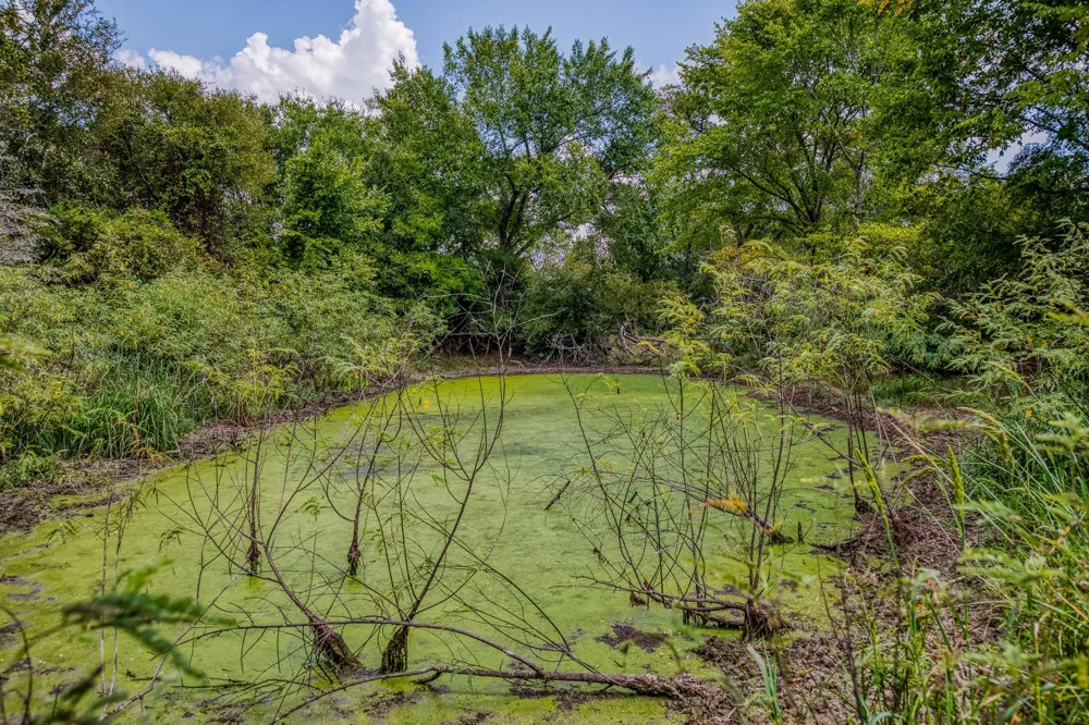 8671 County Road 324 Caldwell, TX 77836