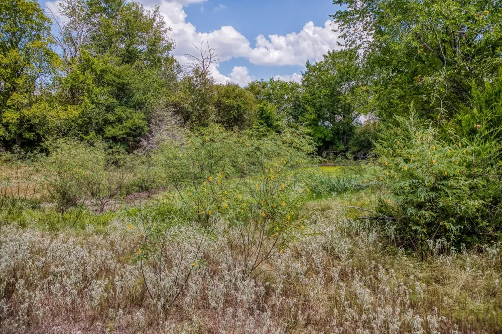 8671 County Road 324 Caldwell, TX 77836