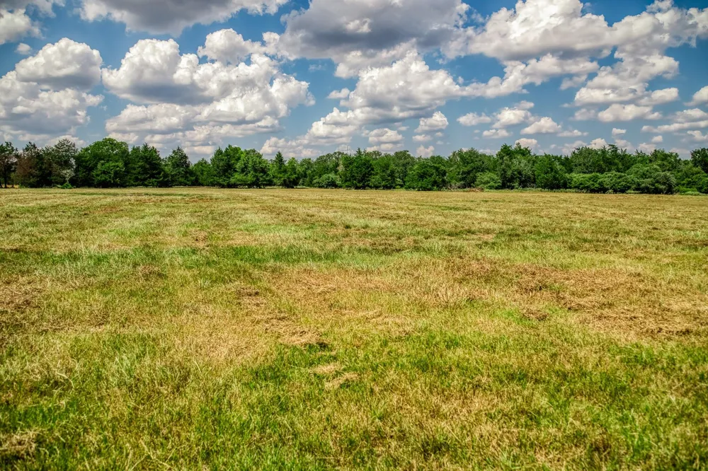 8671 County Road 324 Caldwell, TX 77836