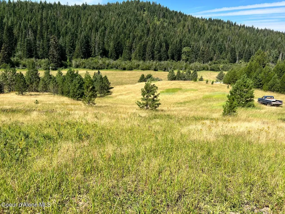 NKA S. Fork Hangman Creek Tensed, ID 83870