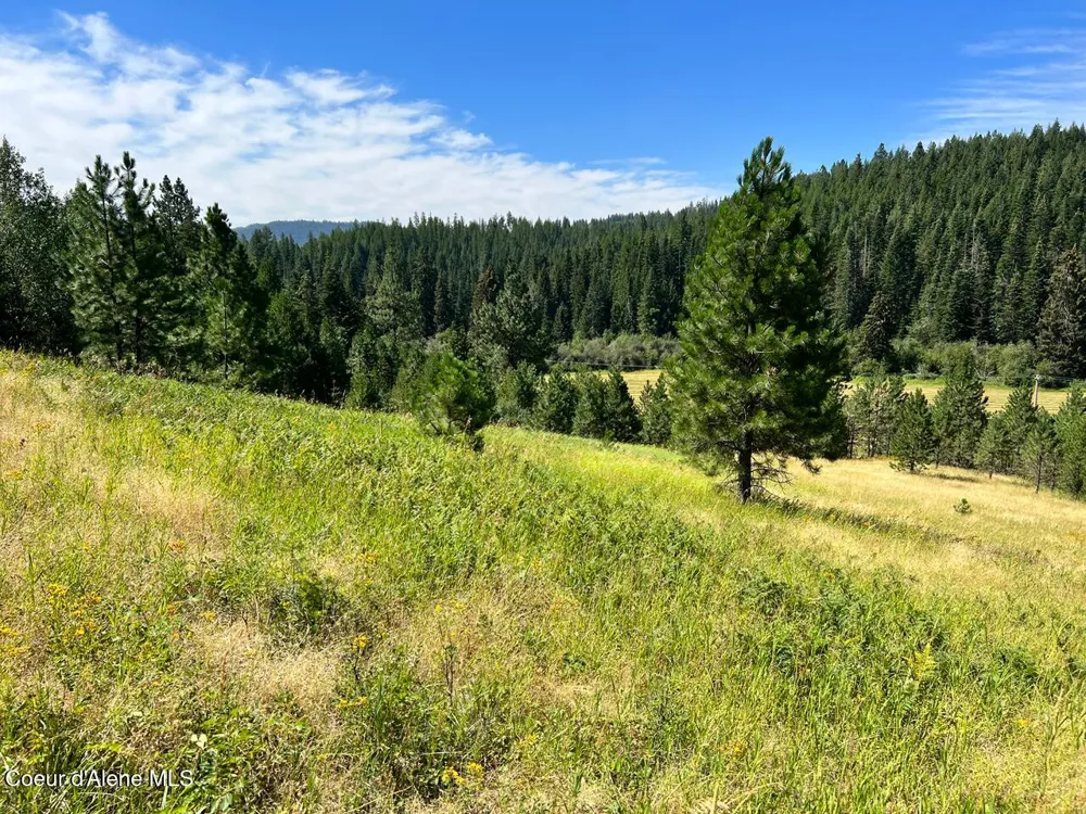 NKA S. Fork Hangman Creek Tensed, ID 83870