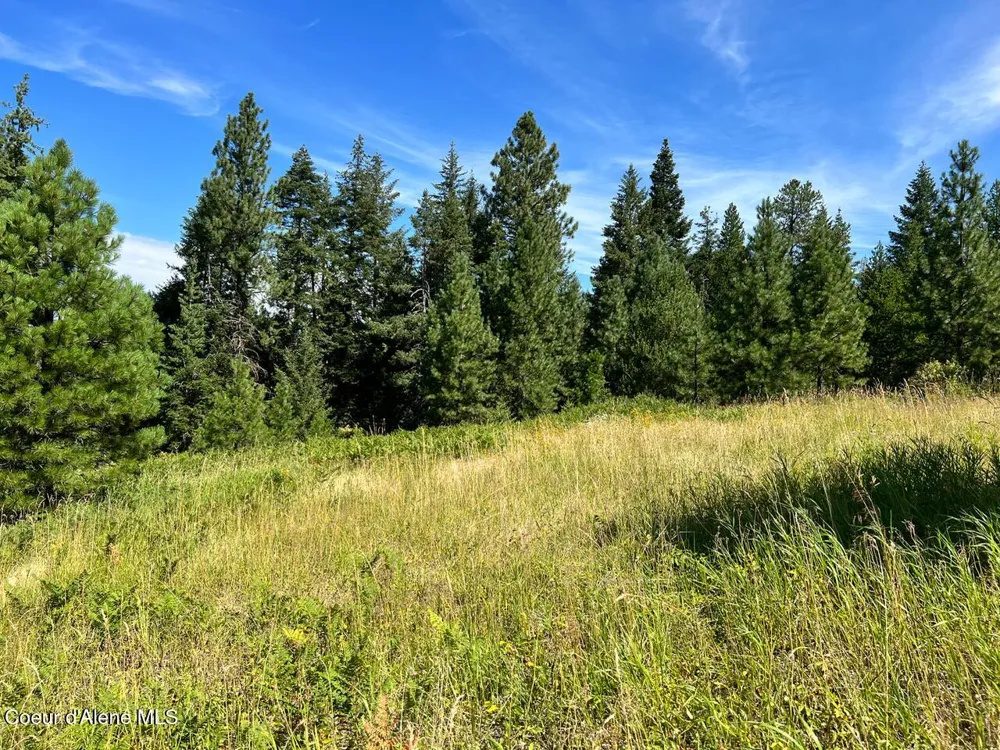 NKA S. Fork Hangman Creek Tensed, ID 83870