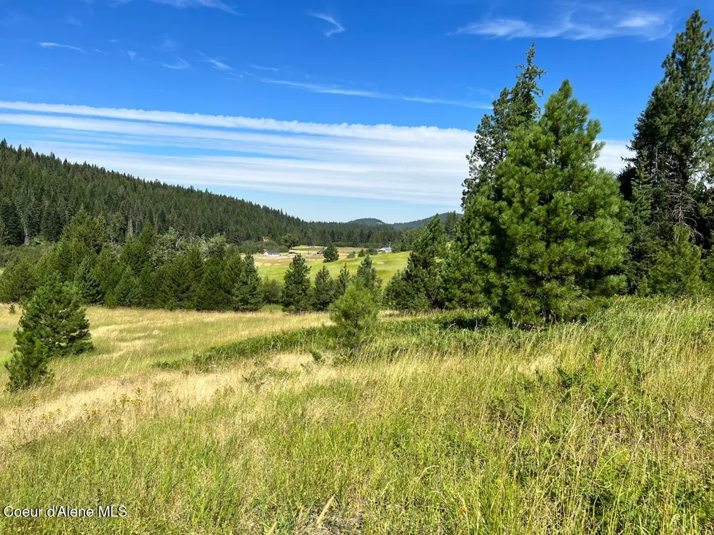 NKA S. Fork Hangman Creek Tensed, ID 83870