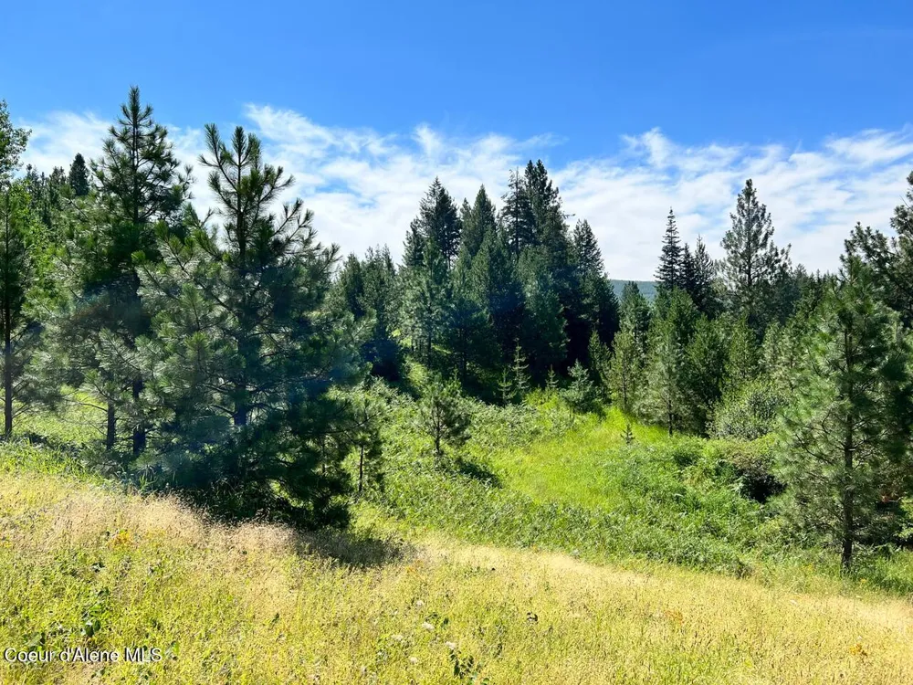 NKA S. Fork Hangman Creek Tensed, ID 83870