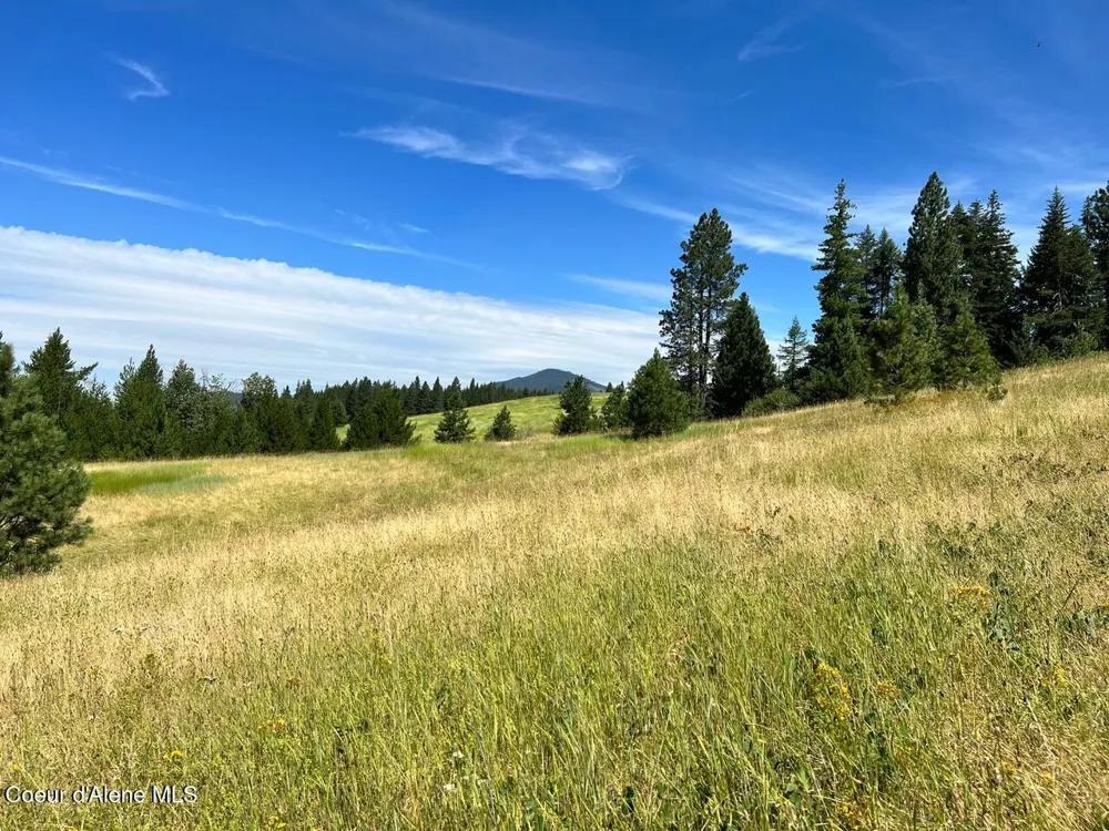 NKA S. Fork Hangman Creek Tensed, ID 83870