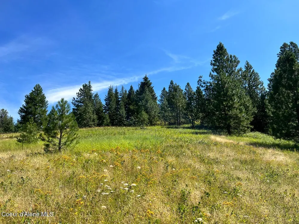NKA S. Fork Hangman Creek Tensed, ID 83870