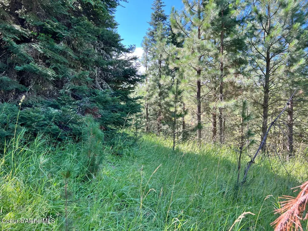 NKA S. Fork Hangman Creek Tensed, ID 83870