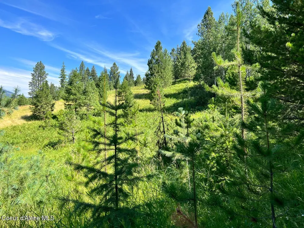 NKA S. Fork Hangman Creek Tensed, ID 83870