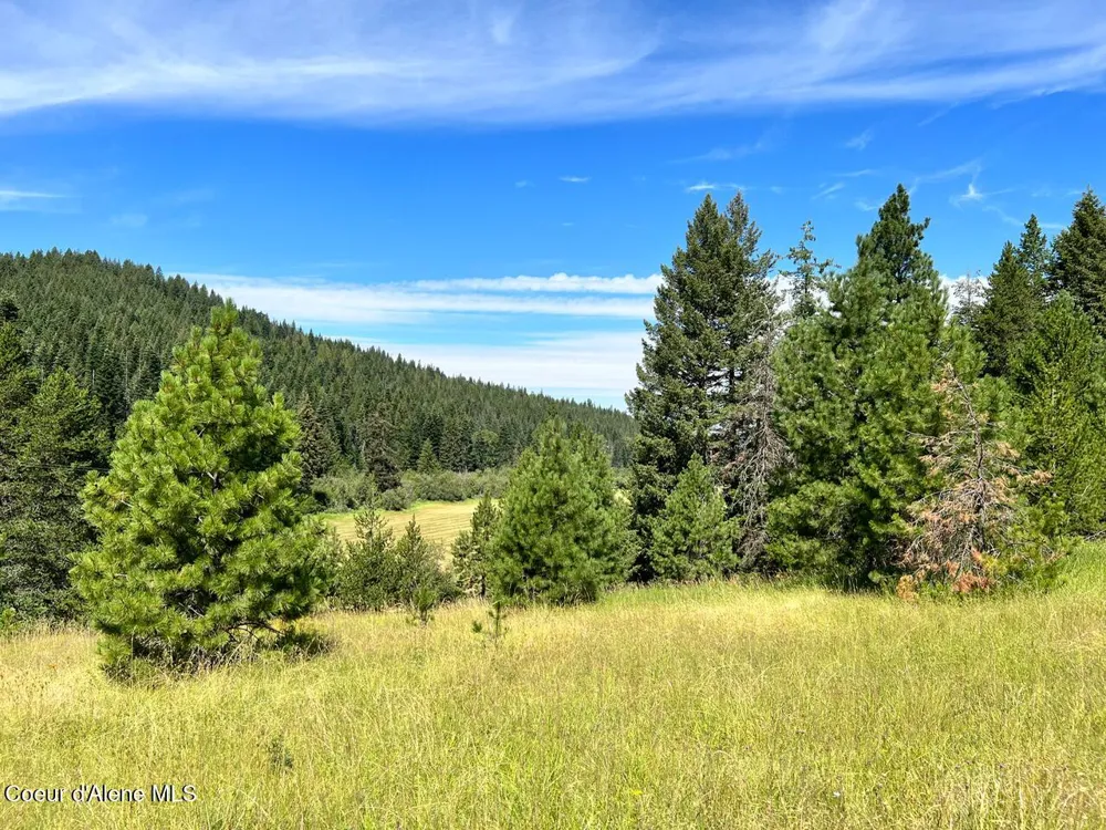 NKA S. Fork Hangman Creek Tensed, ID 83870