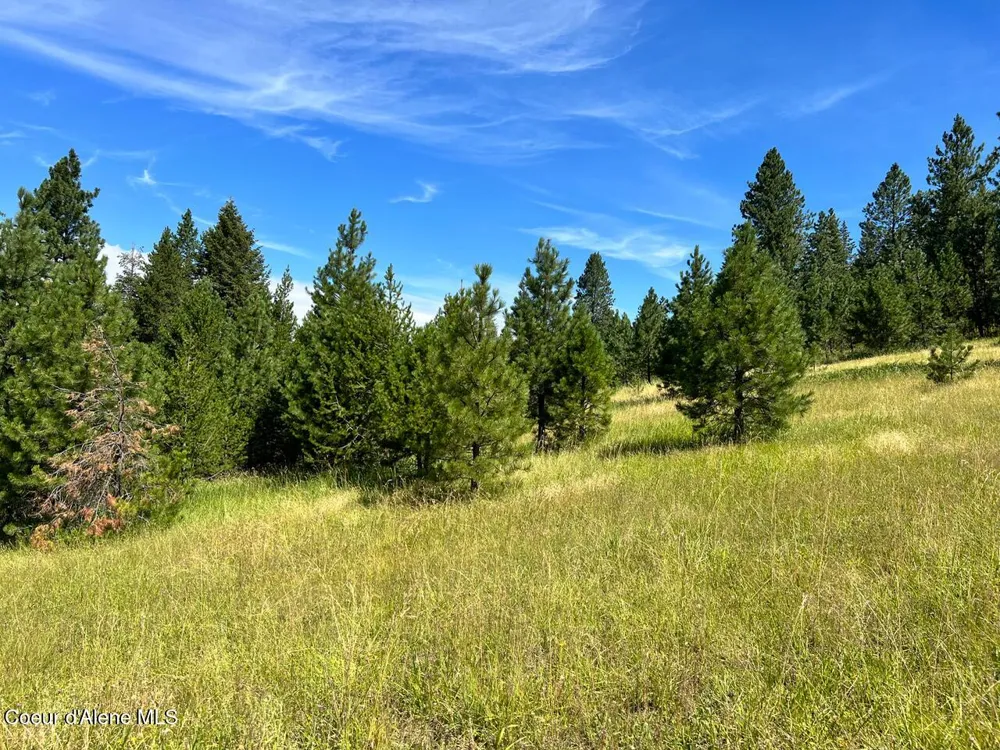 NKA S. Fork Hangman Creek Tensed, ID 83870