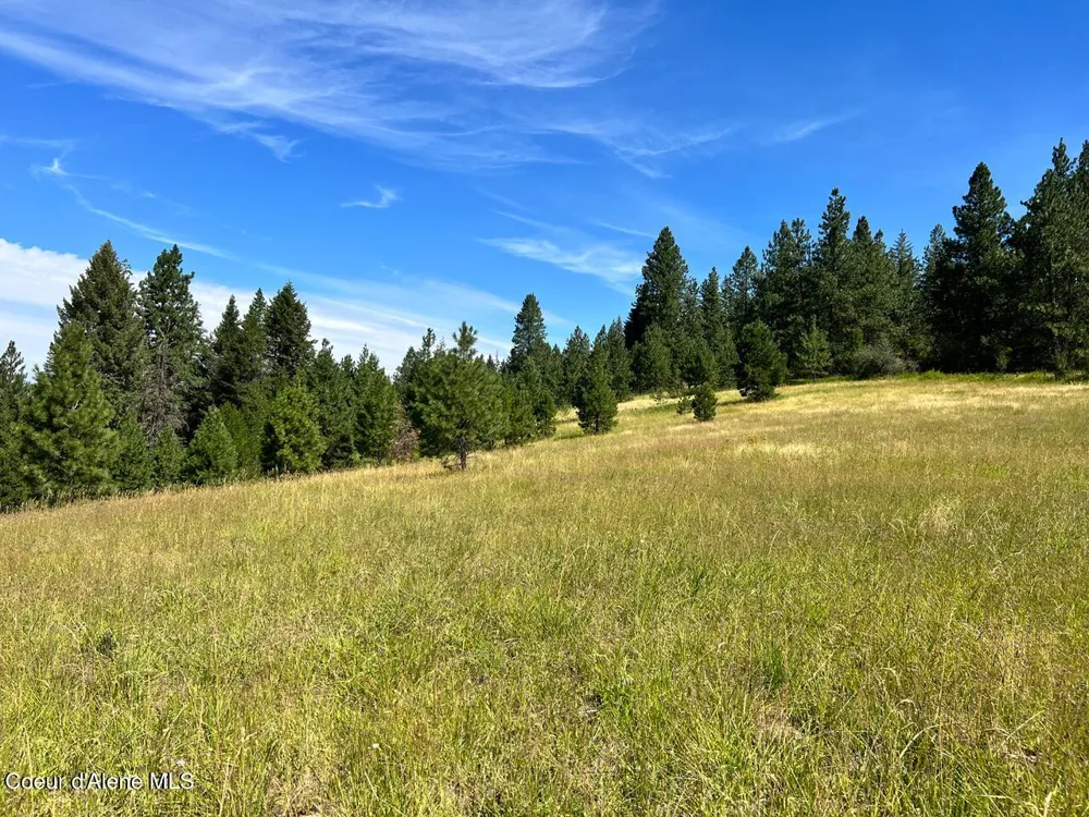NKA S. Fork Hangman Creek Tensed, ID 83870