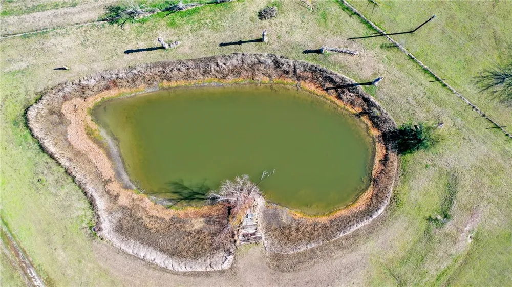 21234 Harrison Drive Bedias, TX 77831