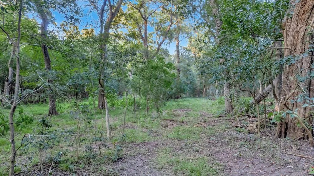 2698 County Road 284 Edna, TX 77957