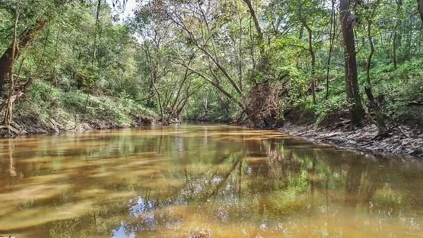 2698 County Road 284 Edna, TX 77957