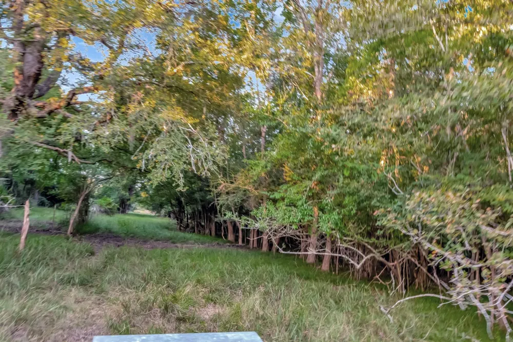 2698 County Road 284 Edna, TX 77957