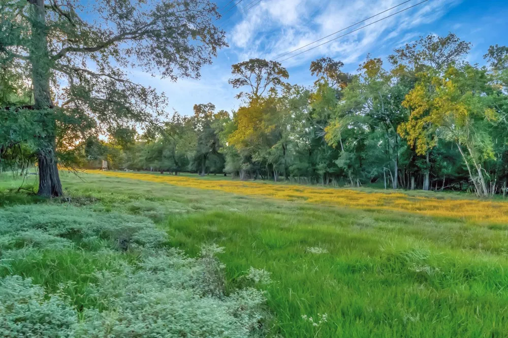 2698 County Road 284 Edna, TX 77957
