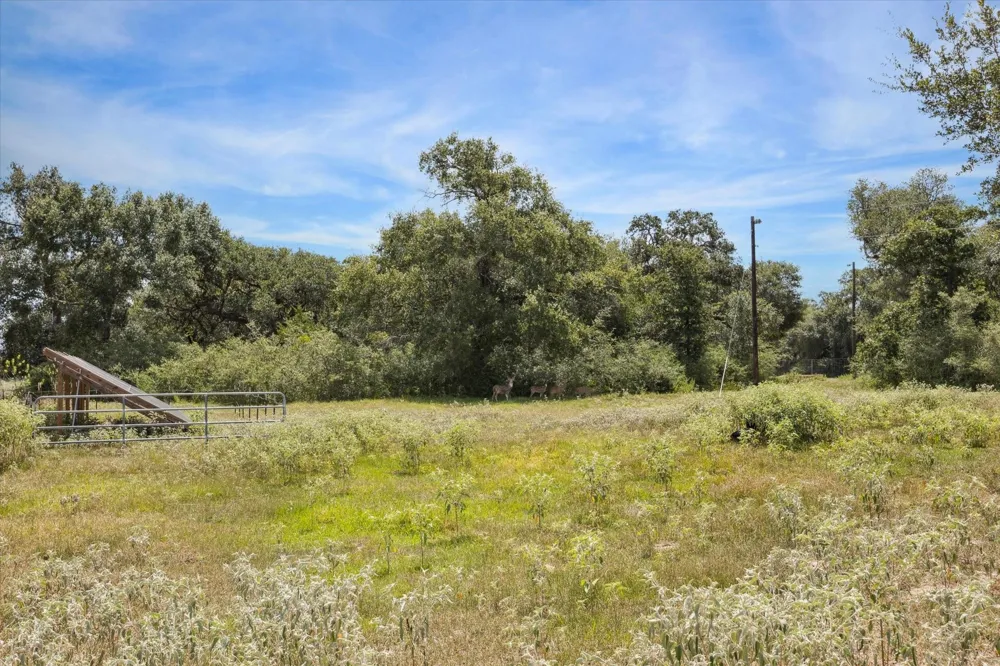 County Road 175 Garwood, TX 77442