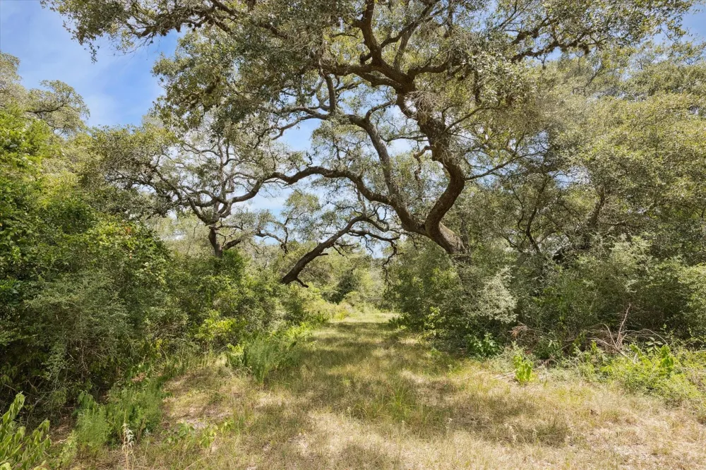 County Road 175 Garwood, TX 77442