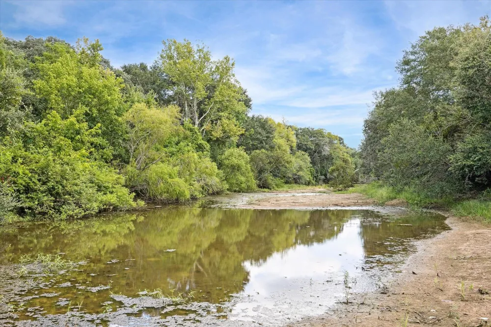 County Road 175 Garwood, TX 77442