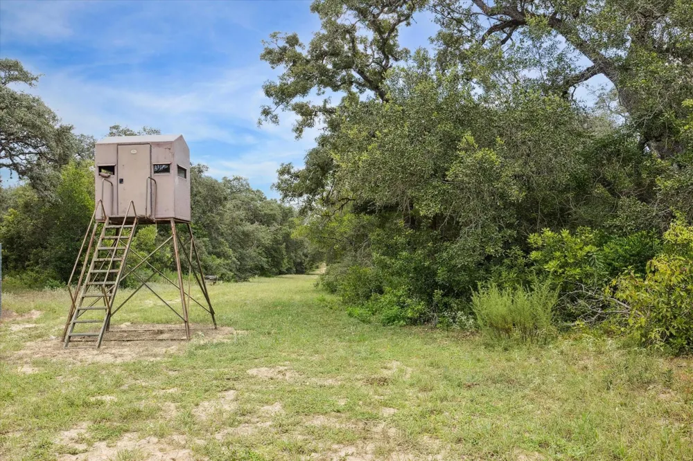 County Road 175 Garwood, TX 77442