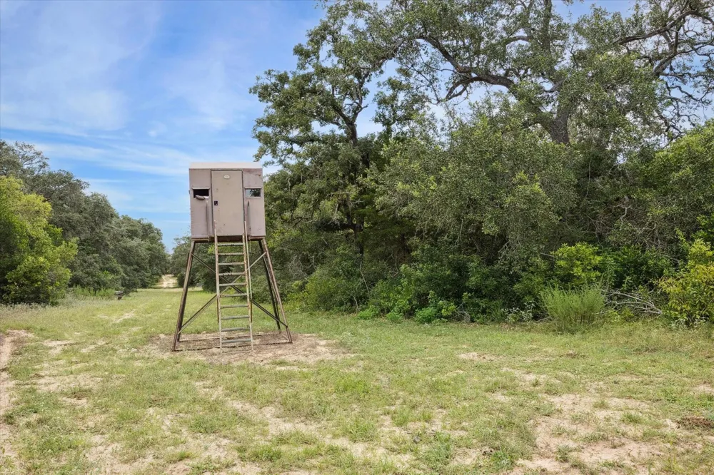County Road 175 Garwood, TX 77442
