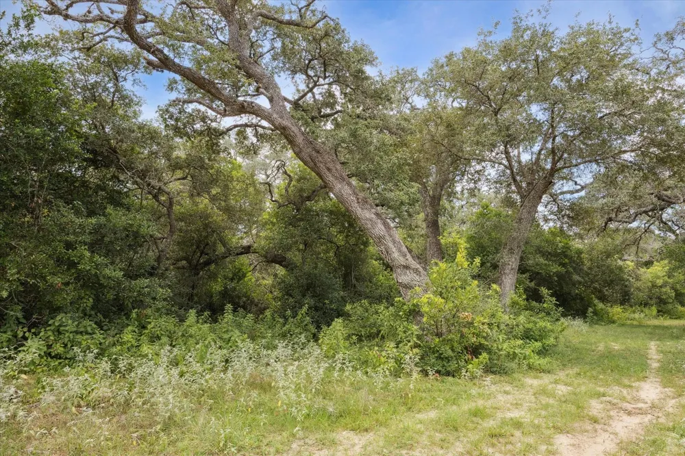 County Road 175 Garwood, TX 77442