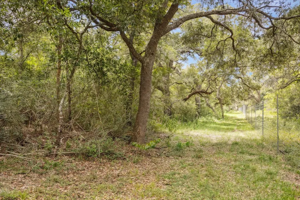 County Road 175 Garwood, TX 77442