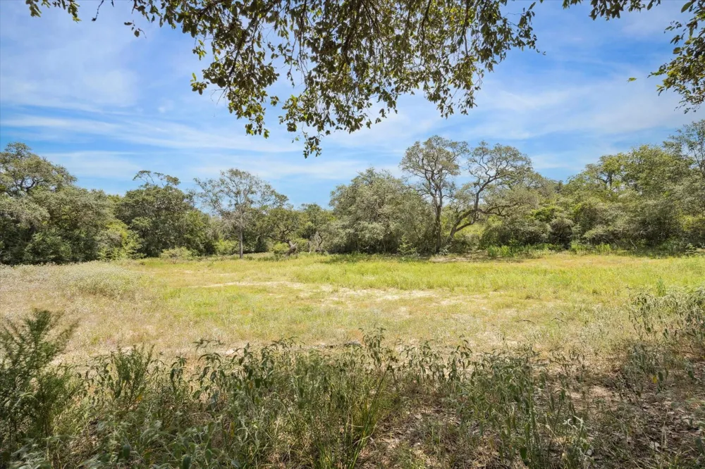 County Road 175 Garwood, TX 77442