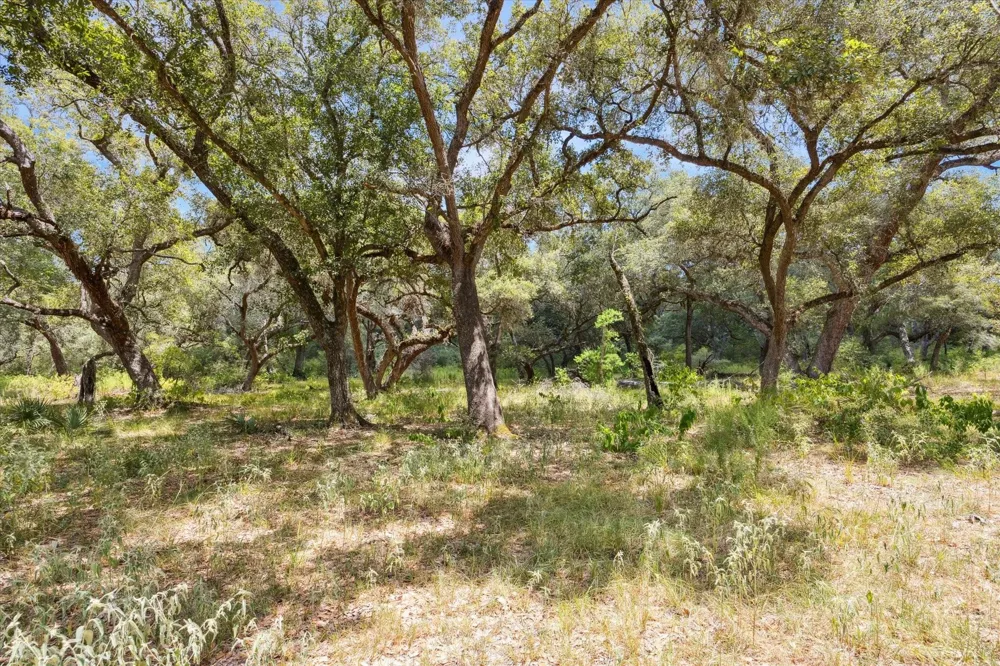 County Road 175 Garwood, TX 77442