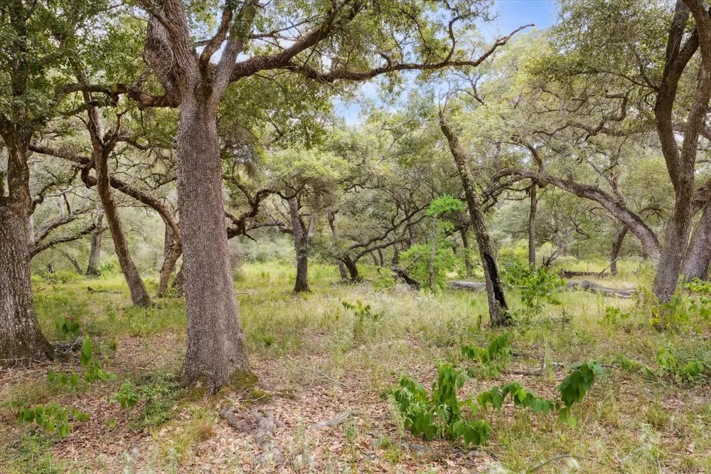 County Road 175 Garwood, TX 77442