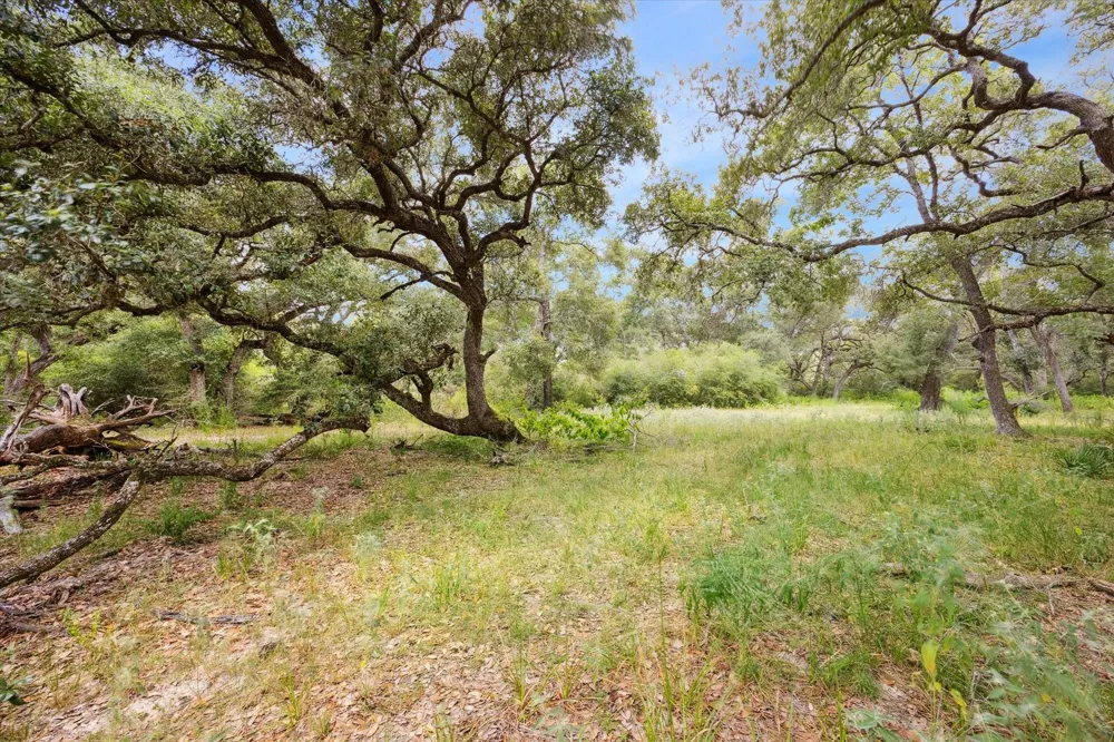 County Road 175 Garwood, TX 77442