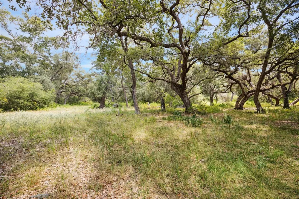 County Road 175 Garwood, TX 77442