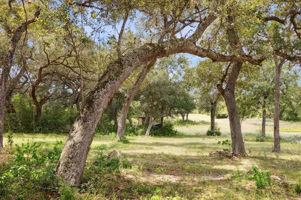 County Road 175 Garwood, TX 77442